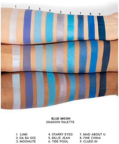 S.F.R. COLOR Blueberry popular pressed pigment eyeshadow palette | blue theme eyeshadow palette | matte and shimmer eyeshadow combo palette | travel friendly eyeshadow