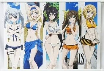 インフィニット・ストラトス　タペストリー IS＜インフィニット・ストラトス＞]B2タペストリー(シャル)