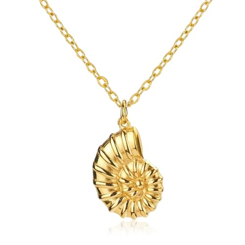 choice of all Shell Necklace for Women Seashell Charm Necklace and Earrings Set Beach Conch Pendant Necklaces Fashion Accessories Summer Outfits for Women