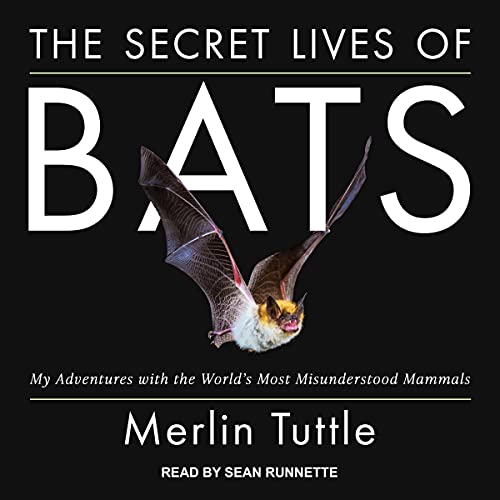 The Secret Lives of Bats My Adventures with the World's Most
