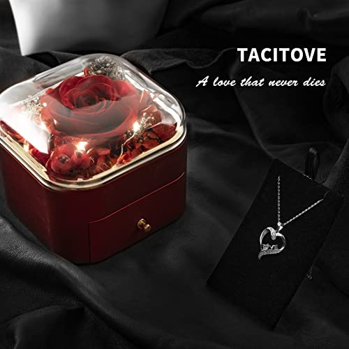 Tacitove Heart Birthstone Necklaces For Women, 925 Sterling Silver Pendant Necklace For Girls Anniversary Birthday Valentines Day Christmas Jewelry Mother’s Day Gifts For Mom Wife Girlfriend, April #TOP4