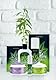 Nuei Oh Holy Mary Cannabis Intimgel, Grün, 100 ml