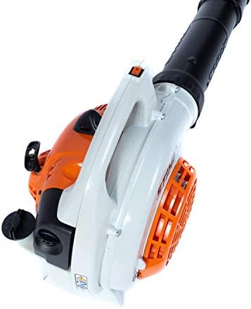 Ein Mann bläst mit dem STIHL BG 56 Laubbläser einen breiten Gartenweg sauber.