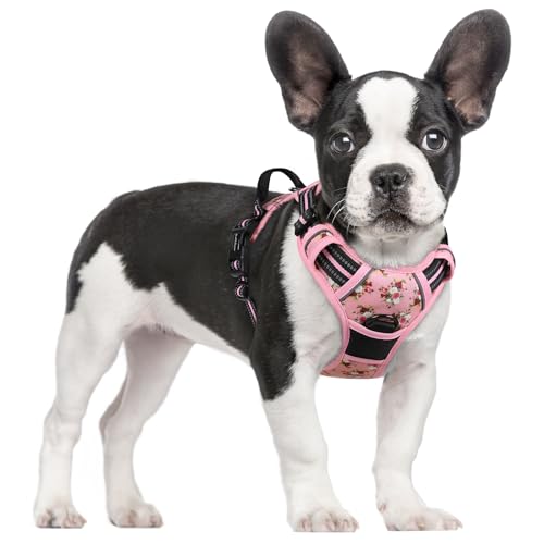 Image of rabbitgoo Dog Harness No Pull with 2 Leash Clips, Adjustable Soft Padded, Reflective Oxford No Choke Pet Vest with Easy Control Handle for Small Dogs, Pink Rose, S