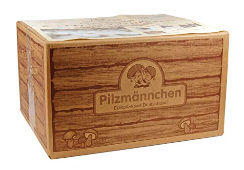 Preisvergleich Produktbild BIO-Pilzzuchtset - Steinchampignon - Pizzucht