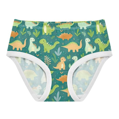 Dinosaur Cute Toddler Girls's Underwear 2T 202b3250