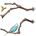2 Pièces, Jouets Oiseaux en Bois, Perroquet Perchoirs Bois, Perchoir en Bois Naturel, Bois Pieds Perchoirs, pour Cage à Oiseaux, Accessoires pour Perruches, Perruches, Canaris, 2 Styles
