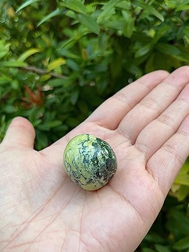 Image of GAF TREASURES 1 /2 LB Serpentine Tumbled Stones, Polished Serpentine Gemstone, Serpentine Healing Crystals (Serpentine)
