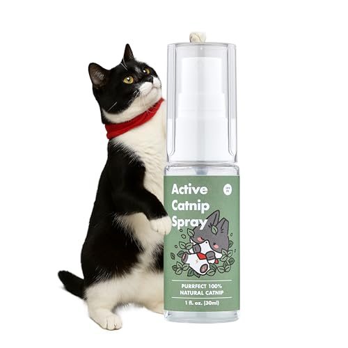 JAYU PET Aktives Katzenminze-Spray – Hochwirksames, transparentes Flüssigspray aus frischer Bio-Katzenminze für Wohnungskatzen und Kätzchen,...