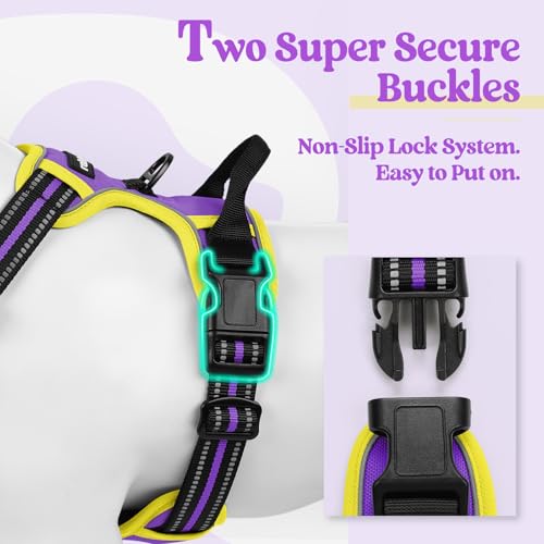 Image of rabbitgoo Dog Harness No Pull with 2 Leash Clips, Adjustable Soft Padded, Reflective Oxford No Choke Pet Vest with Easy Control Handle for Medium Sized Dogs, Purple & Yellow, M