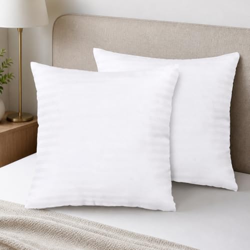 Image of Clasiko Microfiber Cushion Filler 16 x 16 Inches Set of 2 | Suitable for Sofa, Bed & Floor