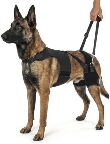 Supet Dog Hip Dysplasia Brace with Back Lift Strap