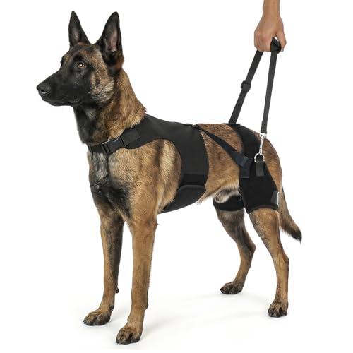 Supet Dog Hip Dysplasia Brace with Back Lift Strap, Adjustable Hip Support & Pain Relief for Dog, Hind Leg Stabilizer Harness for Canine Hip Dysplasia, Arthritis, Degenerative Myelopathy, XL