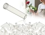 SWELMOOU 30 Stück Blumenröhrchen,Transparent Wiederverwendbare und Langlebige Reagenzgläser mit Kappen,verwendet für Blumengeschäfte Restaurants Cafés Schlafzimmer