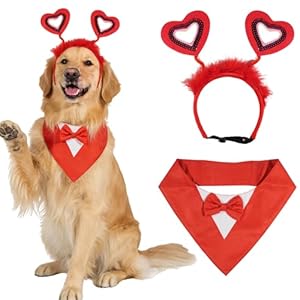 Valentines Day Dog Costume Set Romantic Dog Accessories with Heart Headband and Red Tie Cravat Pet Outfit for Engagement Wedding Party Supplies
