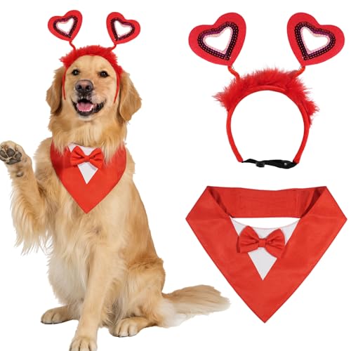 Disfraz de San Valentín para perro tamaño mediano