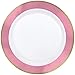 Amscan Premium Plastic party-plates, 10 1/4 inches, White with Pink Border