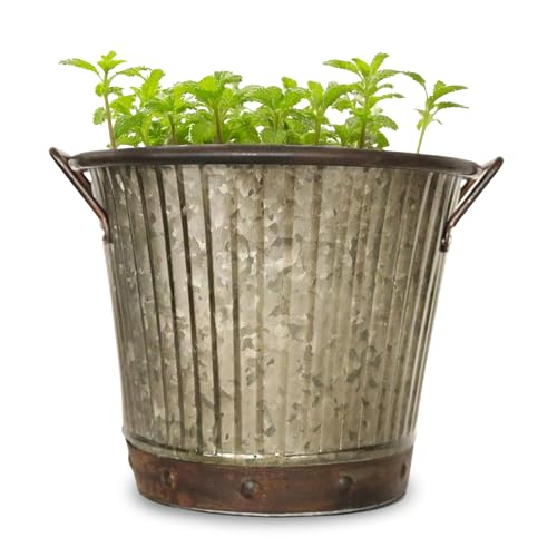 Headwind Countryside Collection - Aged Mocha Brown...