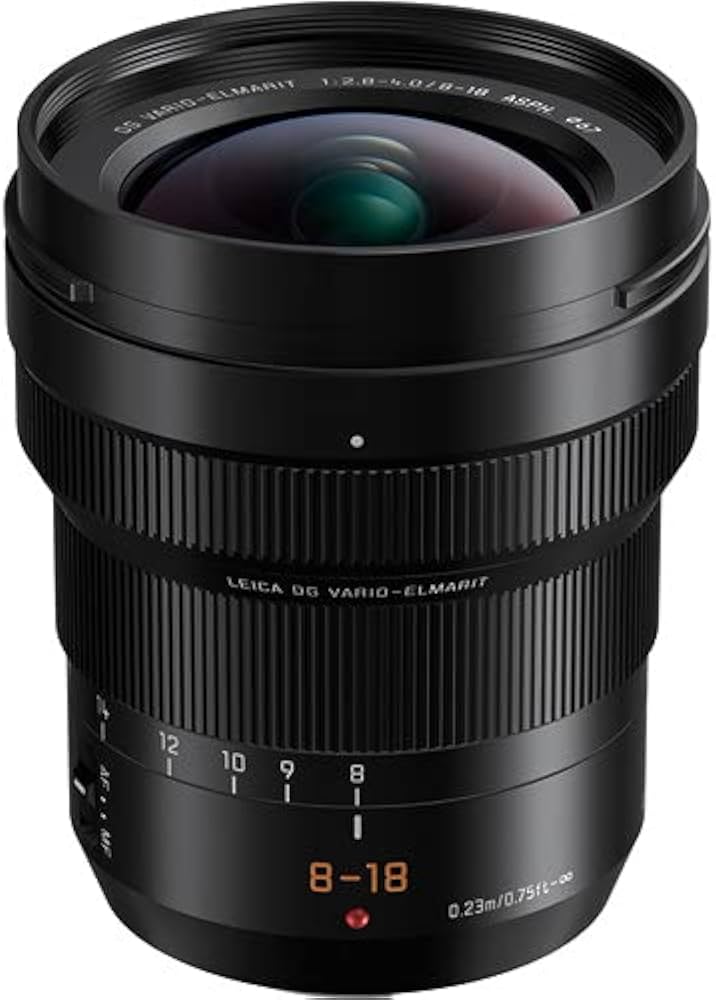 Amazon.com : Panasonic Leica DG Vario-Elmarit 8-18mm f/2.8-4 ASPH