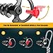 Neotter 4 Pair Earpiece for most Coil Tube Audio Kits, Large