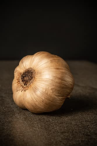 Vitamínicos, Imagen adicional