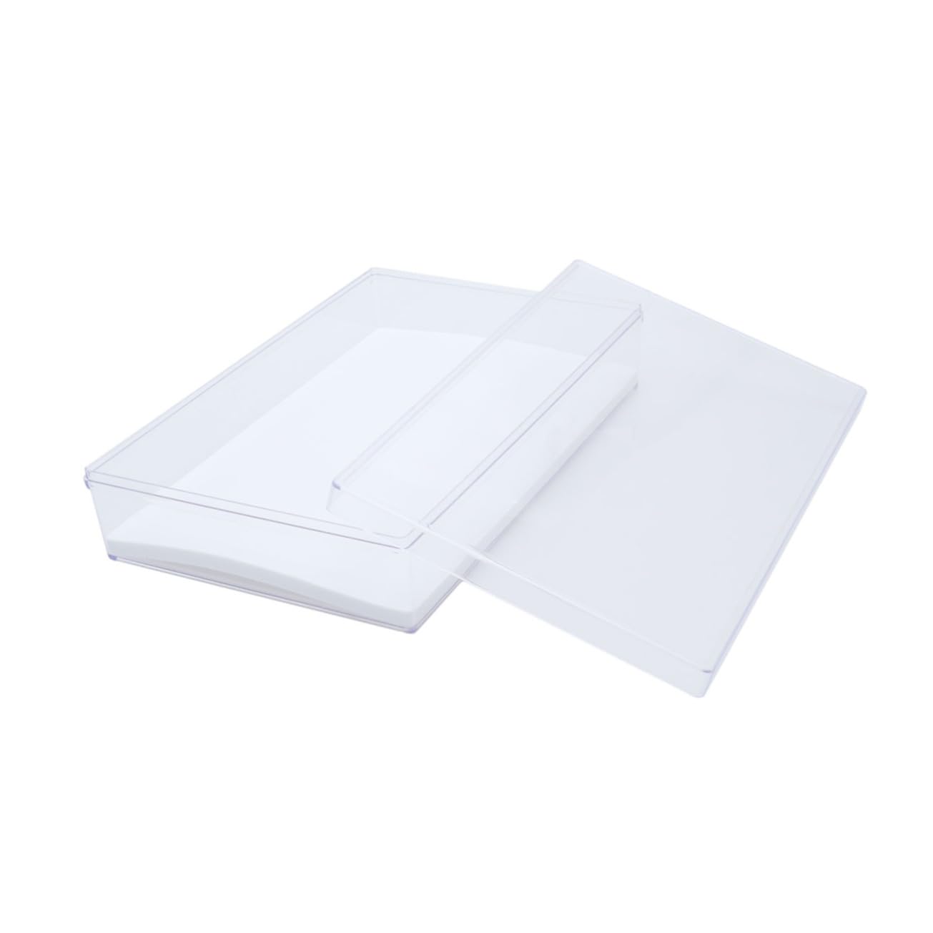 VOSAREA 1pc Transparent Insect Display Box with Lid Multi-Functional Specimen Case for Jewelry Coins and Crafts Material for Easy Identification