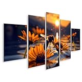islandburner Prime Bild auf Leinwand Biene auf Blume bei Sonnenuntergang am See für Wohnzimmer Naturfreunde Naturkostladen Bilder Wandbilder Poster