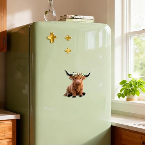 Imán Decorativo de Acrílico para Refrigerador
