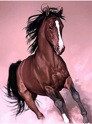 Kit peinture au diamant 5D beau cheval cadeau amusant et créatif de 30x40 cm