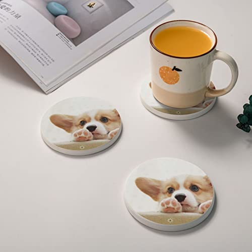 Dessous de verre diatomite Corgi idée cadeau déco originale