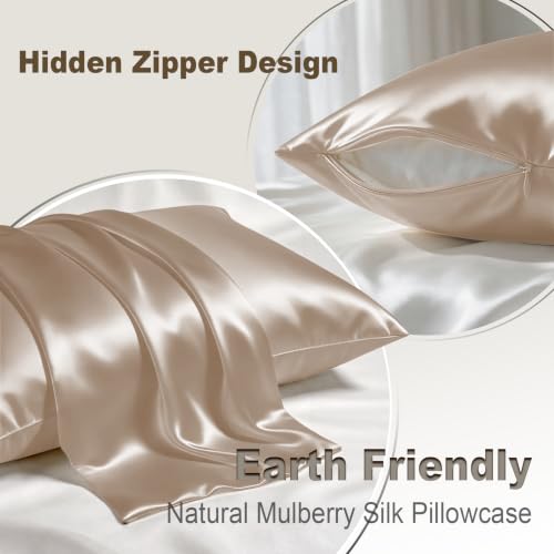 Image of LYSHIN Silk Pillow Cases 2 Pack Queen Size with Zipper, Champagne | 19 Momme Mulberry Silk Pillowcase for Skin and Hair, Anti-Acne, Hypoallergenic, Cooling, Beauty Sleep, Gifts for Women