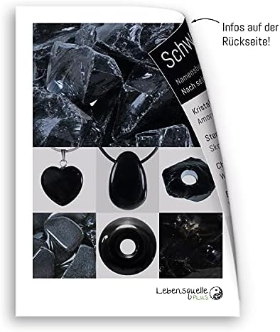 Lebensquelle Plus Shungit Donut 40 mm edelsteen hanger, shungit