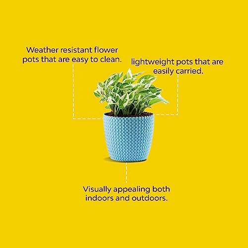 Kraft Seeds Unicon Pots for Home Garden (4 Pcs, Multicolor) | Outdoor Gardens and Home Plant Pots | Durable Plastic Planters for Balcony and Terrace | Plastic Flower Pots for Indoors and Home Plants
