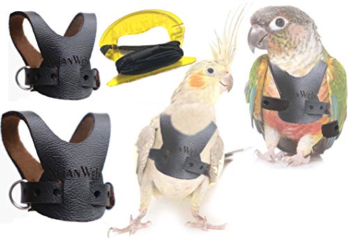 aviator bird harness petite - Avianweb EZ Rider Bird Harness with 8 Ft Leash (Small Conure (i.e, Greencheek) & Larger Cockatiels)…
