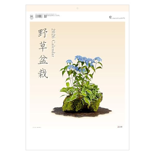 Japanese Calendar 2026 - Wildflower Bonsai, 15' x 21' Monthly Wall, Made in Japan Todan TD-819