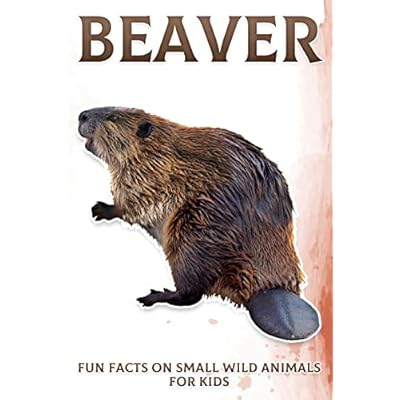 Beaver