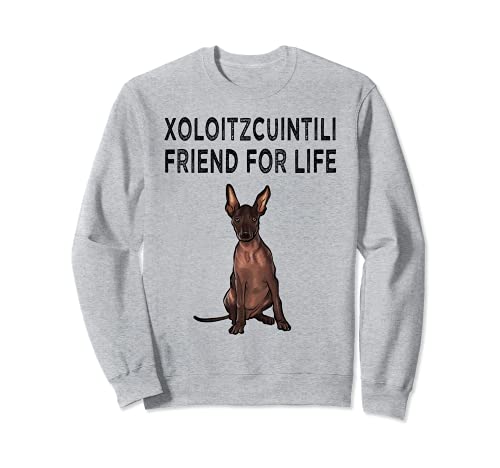 Xoloitzcuintli Friend For Life Dog Friendship Sweatshirt, Grey