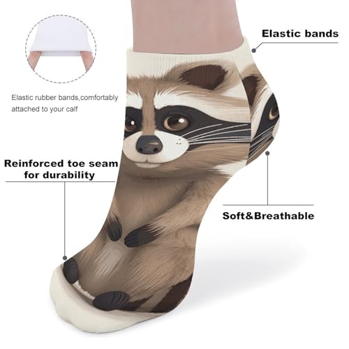 Raccoon Ankle Socks 5 Pairs Low Cut Non Slip No Show Socks Comfortable Athletic Socks for Women Men3