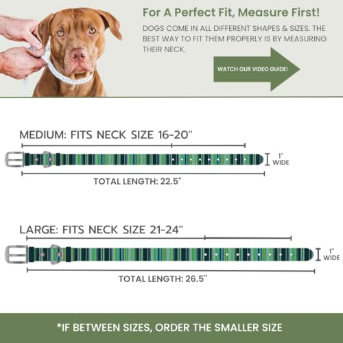 Image of Waterproof Dog Collar - Washable, Stink-Proof & Dirt-Proof - Soft, Odorless, Easy to Clean - Fade-Resistant, Durable for Medium & Large Dogs - Rust-Proof Metal Buckle (Teal-L 1 inch)