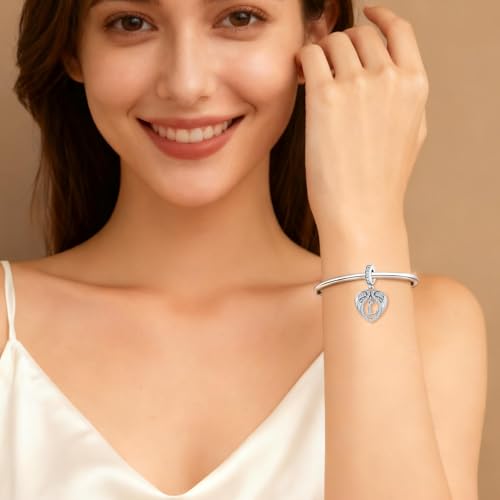 Abalorio de plata de ley 925 con inicial y circonitas para pulseras Pandora 3