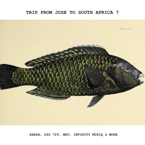 Trip from Jose to South Africa 7 with Kabza, Dzo 729, Mdu, Infinity MusiQ & more