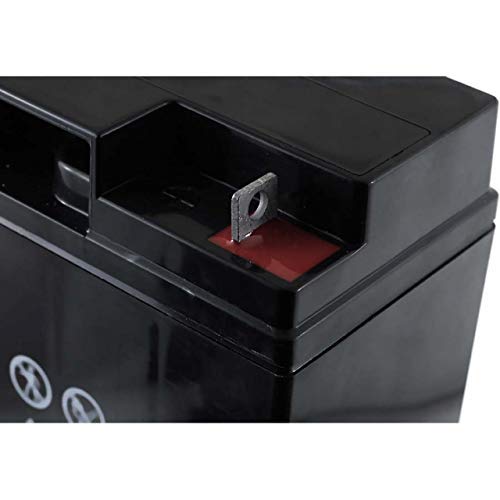 FIAMM - Batería de plomo Fiamm 12V 18Ah FGH 21803 - FGH21803