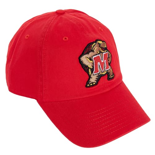 Desert Cactus Gorro Bordado Ajustable Para Adultos miniatura 1