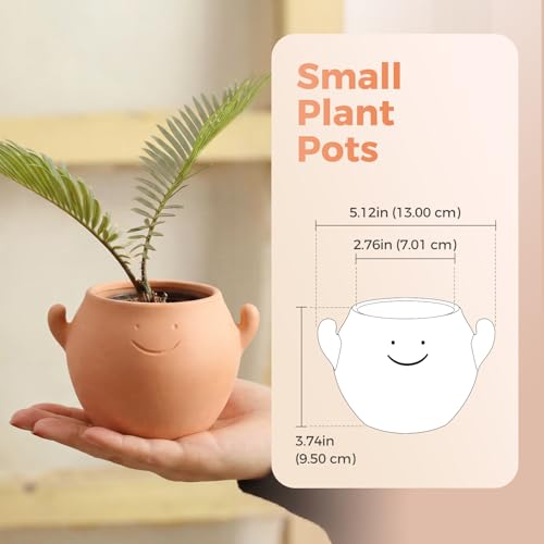50% Off Cute Smiley Face Terracotta Planter Pot with Drainage