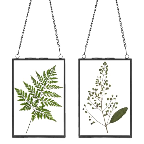 GBACHOOSE Metall-Bilderrahmen zum Aufhängen, 25 x 20 cm, Glasrahmen für gepresste Blumen, schwebender Glas-Bilderrahmen für Kunstwerke, Wandhalterung, 2 Stück