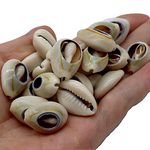 Fundiyoug 100 PCS 0.63-0.71 Natural Spiral Cowrie Shell Cut African Cowrie Shells Beach Seashells with Hole for DIY Craft Jewelry Making Adorning Hair Locks and Braids (16-18mm Grey)