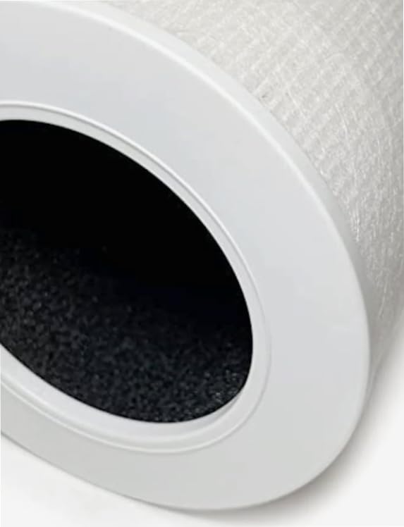 Amazon.com: SCREENTRONICS Levoit Core Mini 3-in-1 True HEPA H13