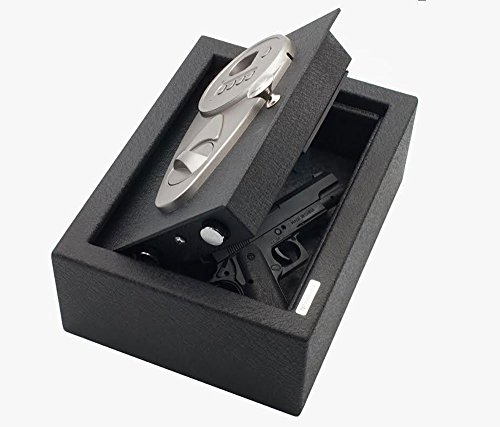 Biometric Fingerprint Safe - Advanced Security for Your Home - 11.75" (L) x 8.75 (W) - Top Loading Steel Design.