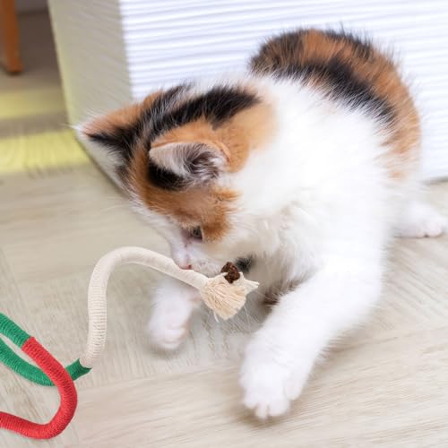 Vaktop Katzenminze Stick, Katzensticks, Katzenspielzeug Beißseil, Katzen Kausticks, Interaktives Kauspielzeug Katze für Katzen Zahnpflege und Gegen Mundgeruch