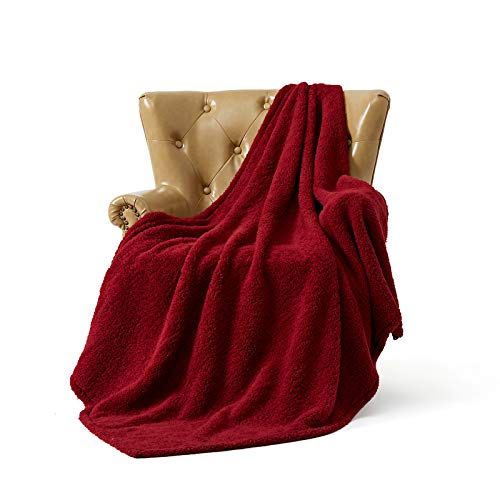 Fflmyuhul I U Ultra Super Soft Lightweight Cozy Throw Blanket For Bed Couch Warm Fuzzy Sherpa Blanket/Throw Blanket For Shower Gift Wine Red … #TOP30